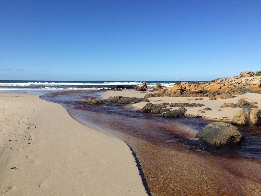 Hermanus Backpackers & Budget Accommodation Luaran gambar